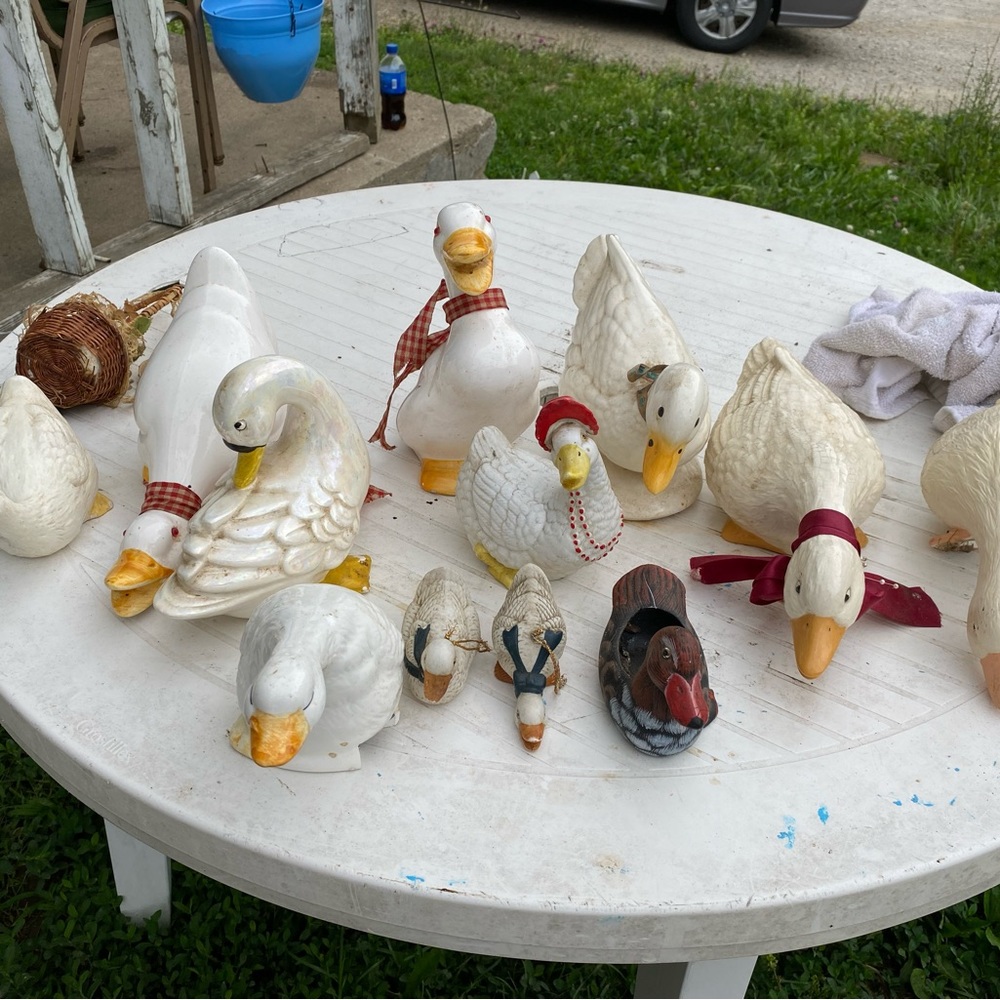 Lot of ducks